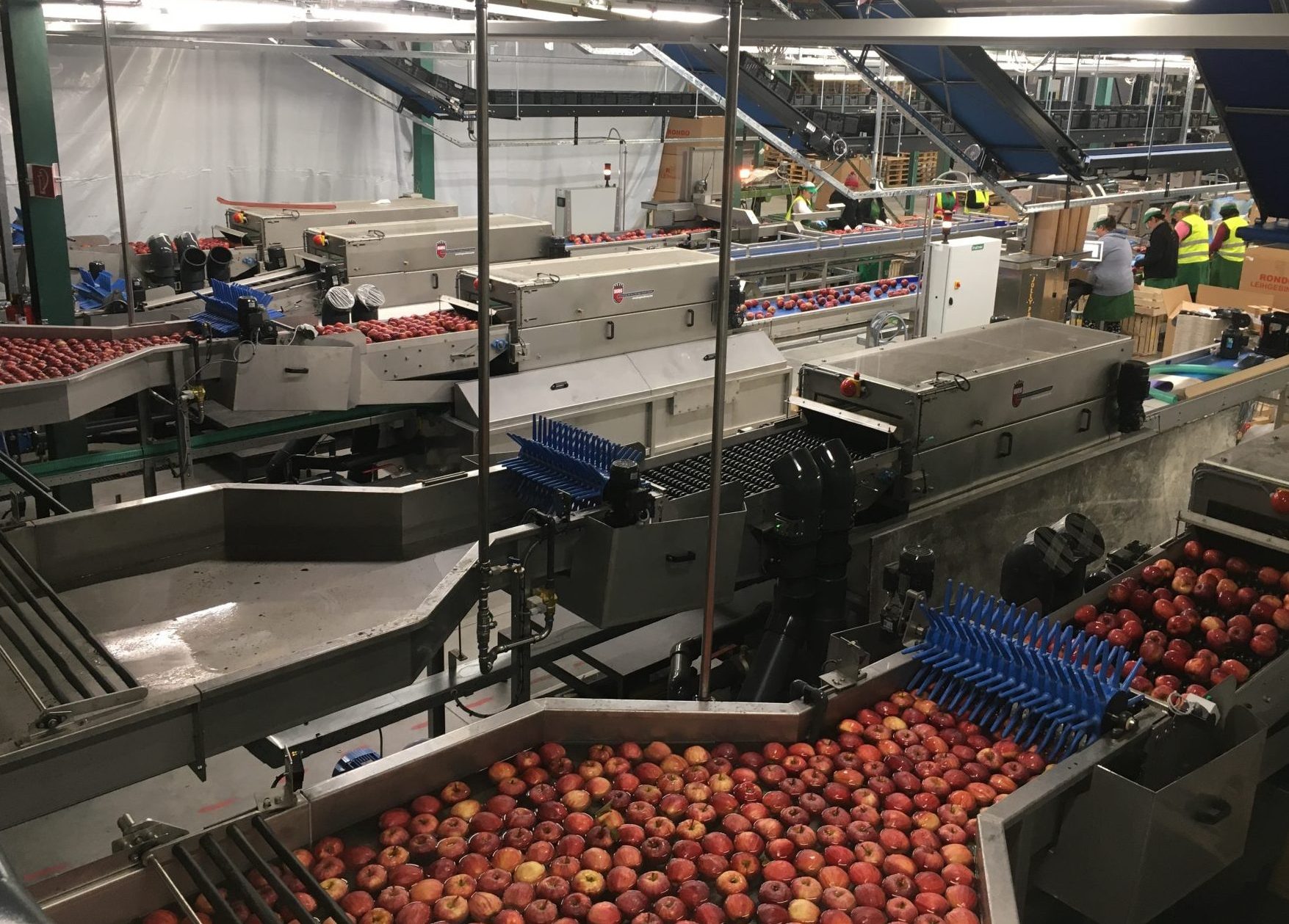 PACKINGLINES Burg Machinery