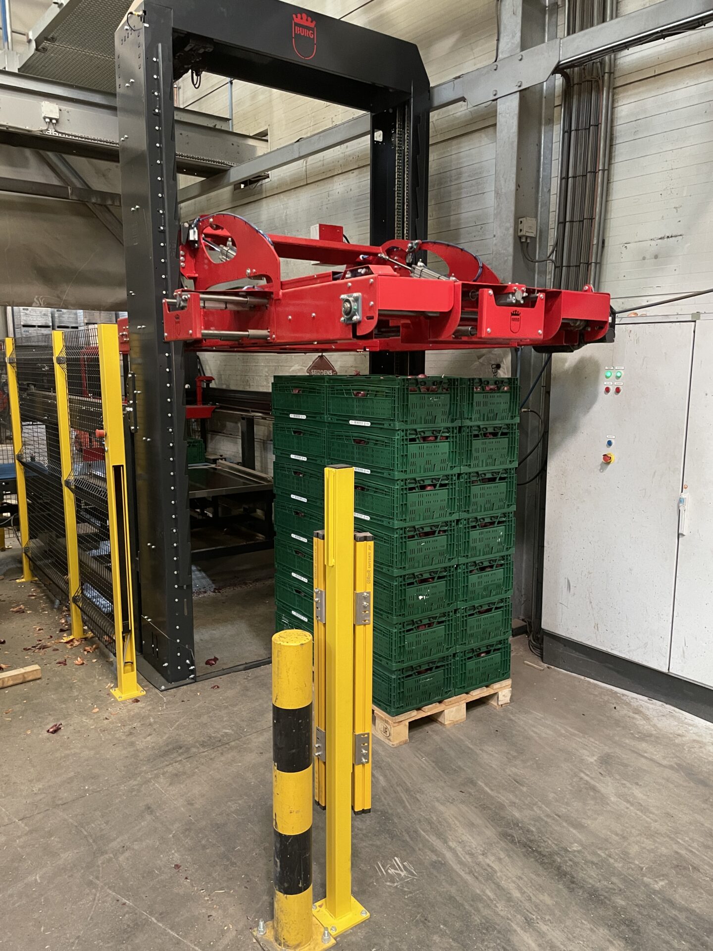 Toenemende vraag naar palletisers Burg Machinery